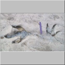 100_0338 (2009-25-07)m.jpg